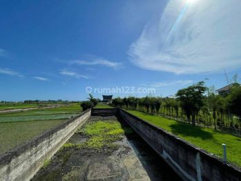 Beautiful freehold 35.5are land with villa at Cemagi with ricefield view