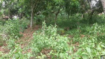 Tanah Murah 1juta/m SHM siap balik nama