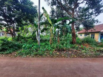 Utara Kampus Uin Pekalongan, Tanah SHM Luas 743 M2, 500 Ribuan