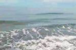thumbnail-beachfront-land-50-are-pinggir-pantai-tejakula-buleleng-bali-2