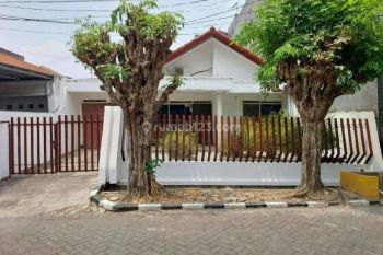 Rumah 1 Lantai Siap Huni di Darmo Permai Selatan