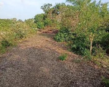 tanah kapling perumahan