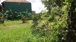 thumbnail-land-for-lease-central-of-ubud-long-term-25-years-6