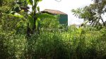 thumbnail-land-for-lease-central-of-ubud-long-term-25-years-2