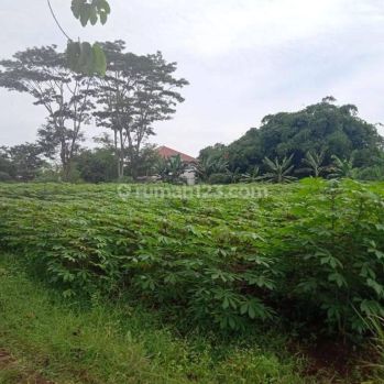 Dijual kavling lokasi strategis di cibinong