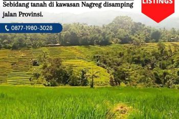 Sebidang Tanah 30 Ha, Berlokasi strategis di pinggir jalan Provinsi