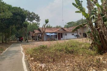 3 Menit dari Pasar Kedungwuni, SHM, Tanah Murah Pekalongan