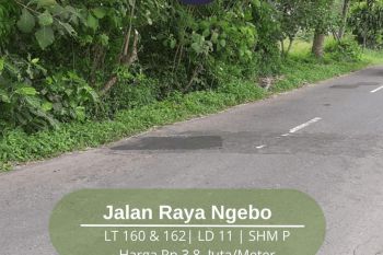 Tepi Jalan Aspal 2 Unit Tanah SHM Di Jalan Raya Ngebo 3 Jutaan