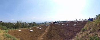 Tanah di Abdul gani Atas 5600 m² SHM dekat Hotel Agro