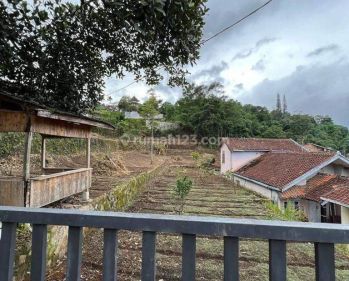 Tanah Sukamaju Ciwidey Kab Bandung Lokasi Wisata