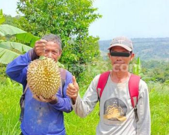 Tanah Cocok Berkebun Berternak 23000m2 SHM Sukamakmur Bogor