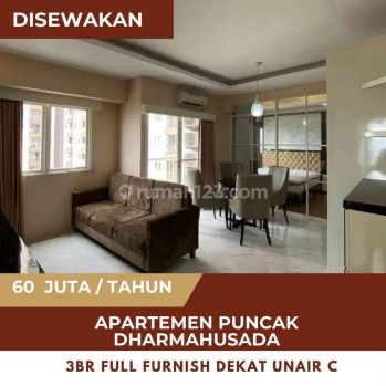 Disewakan Apartemen Puncak Dharmahusada Baru Gress