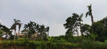 Ta Dijual Tanah Sangat Strategis Di Pamulang Barat