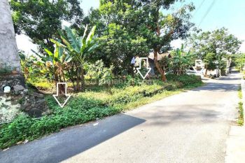 Tanah SHM Tembalang Dkt Undip Cck Untuk Kost Atau Perumahan