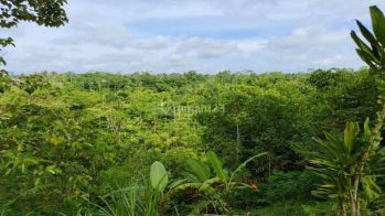 Dijual tanah Di Ubud view lembah, jungle,sungai dan Gunung