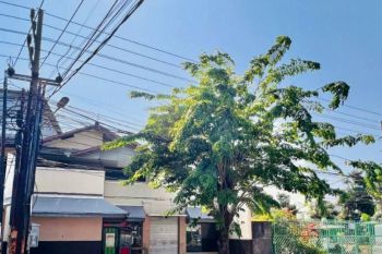 Rumah Usaha Jalan Raya Klampis Harapan, Strategis