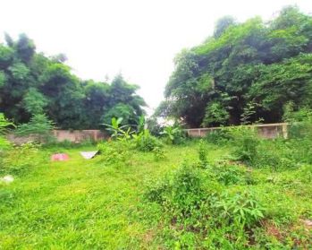 Tanah 75m SHM di Audita 6 Murah Hanya 1,875 Jt Dekat SMPN 14 Depok