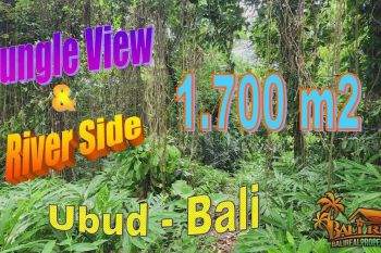View Sungai dan Hutan 1,700 m2 di Sukawati Ubud