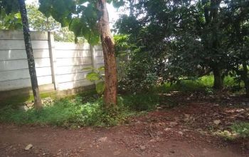 Miliki Tanah Kavling Strategis di Majalengka Sekarang, Bisa Cicilan 5 Tahun!