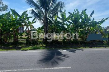 Tanah seluas 43,5 are kan di jalan Raya Kerobokan