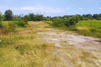 Tanah Luas 1586 Meter Persegi Lokasi Dekat Pabrik Madukismo Kasihan Bantul