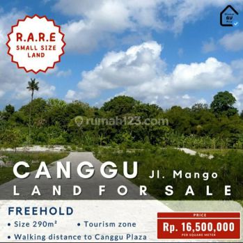 Jual Tanah Kavling di Canggu