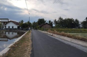 Area Wisata Candi Borobudur, Tanah View Sawah Pas Buat Villa