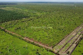 Dijual Bu 21rb m2 Tanah Desa Peniti Luar ,mempawah Kalimantan Barat Seluas 30 Ha