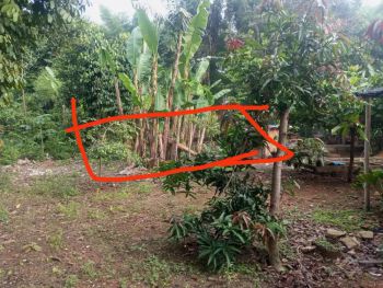 Di jual tanah 150 meter. Harga 3,5 juta per mtee