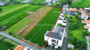 Di Jual Tanah di Jalan Utama Pantai Megening Cemagi , Badung