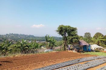 Kavling Tanah di Dago Giri dengan View yang Indah Sangat Cocok Buat Villa