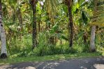 thumbnail-land-for-sale-with-river-view-in-mengwi-0