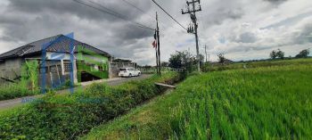 Dijual Tanah sawah pinggir jalan strategis di janti Polanharjo klaten