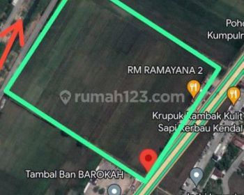Dijual Tanah Besar 4 Hektar Cocok Untuk Industri Pabrik Gudang Jl Pantura