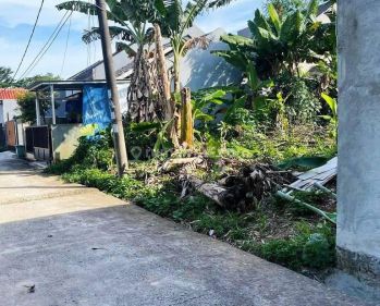 Tanah Pagedangan 700 Meter Gerbang Tol Serbaraja