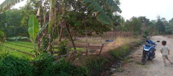 Tanah Kebon Puri Gemilang Tambak Harga Miring