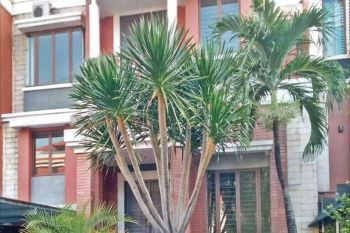 Rumah Gading Park View Kelapa Gading, Jakarta Utara