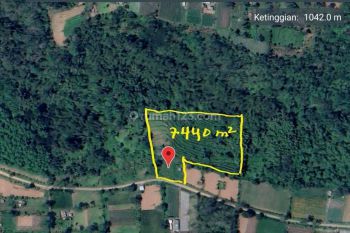 Tanah super view gunung dan terasering sawah di bedugul