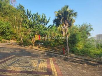 Sale Tanah Kavling: Kavling di Palm Hill