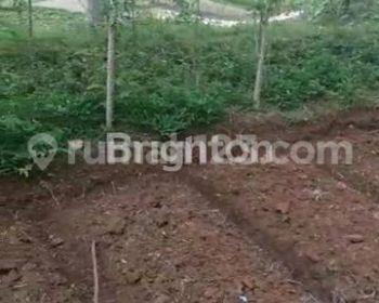 TANAH POTENSIAL INVESTASI MENGUNTUNGKAN UNTUK BANGUN VILLA, RUMAH DEKAT TOL AREA