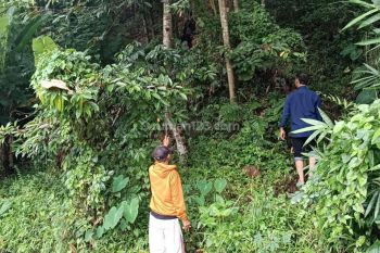 Cek Lokasi Tanah Kebun Murah di Malang Raya