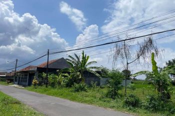 BU Jual Murah Tanah Sleman Timur Bandara Adisucipto, Mangku Jalan Aspal