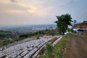 Dijual Tanah Area Dago Pakar Cocok Untuk Villa cafe