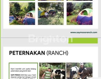 Ranch di Bandung Barat masih beroperasi dengan luas 3,8hektar. Harga Turun dari