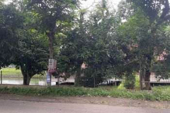 Jual Tanah Kolam Ikan dan Sawah Bonus Villa di Purwakarta Kota