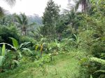thumbnail-1300-sqm-of-freehold-land-with-serene-views-of-valley-2