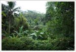 thumbnail-1300-sqm-of-freehold-land-with-serene-views-of-valley-1