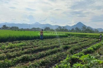 Jual Tanah Luas Strategis Akses Tol Margaasih Dekat Taman Kopo 5