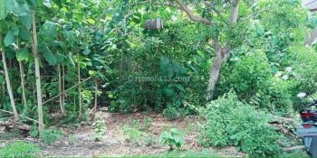 Dijual tanah DI taman mumbul dekat hotel plago nusa dua Badung Bali