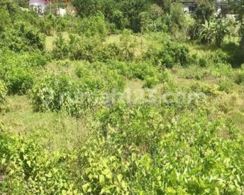 Tanah Murah Ungasan Jimbaran